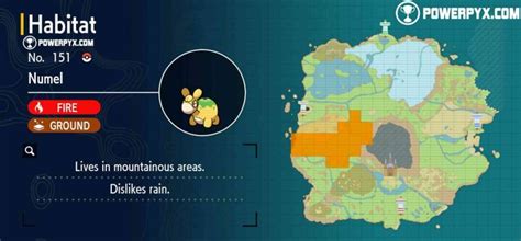 numel evolution|numel location x and y.